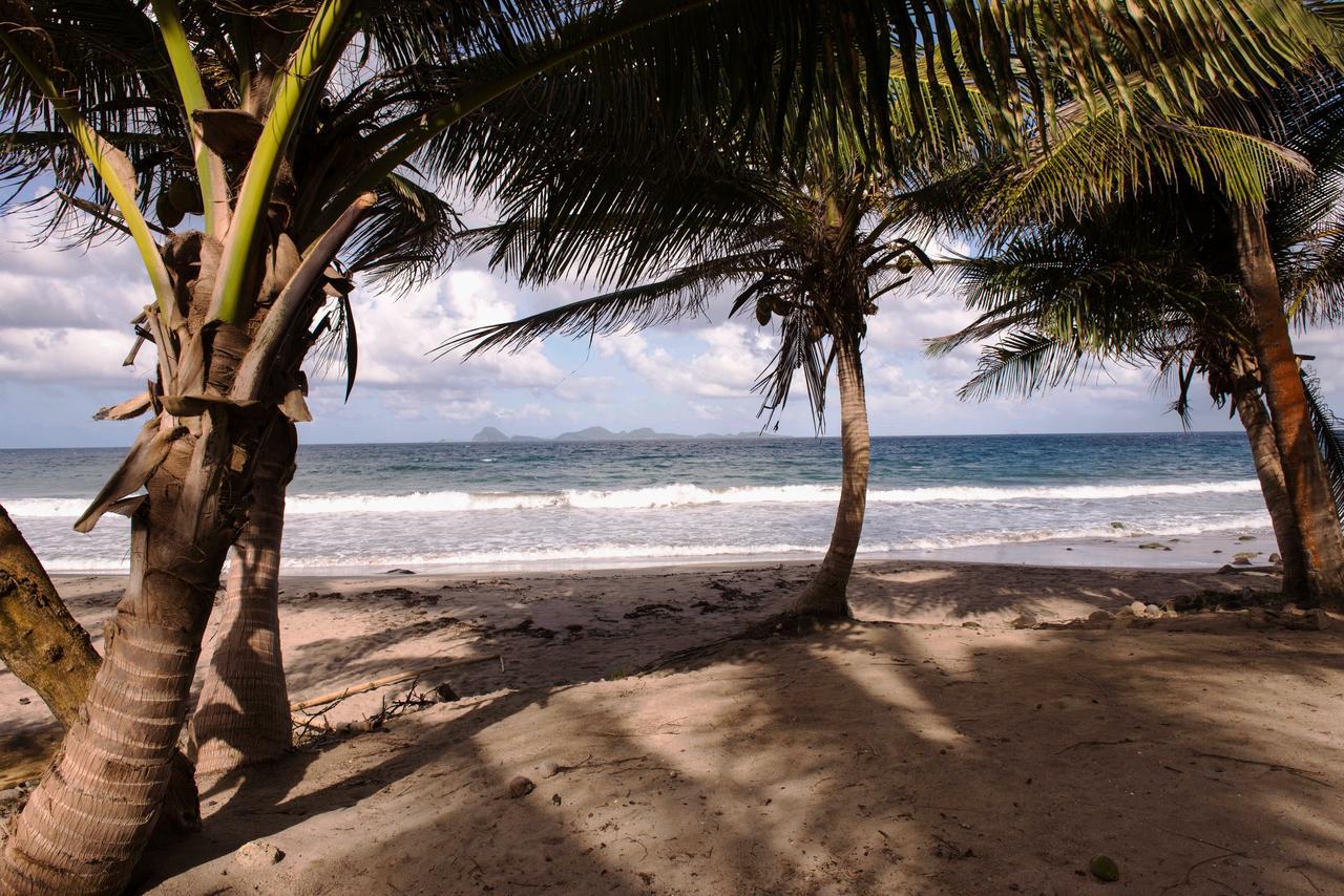 Petite Anse Hotel Mount Alexander المظهر الخارجي الصورة