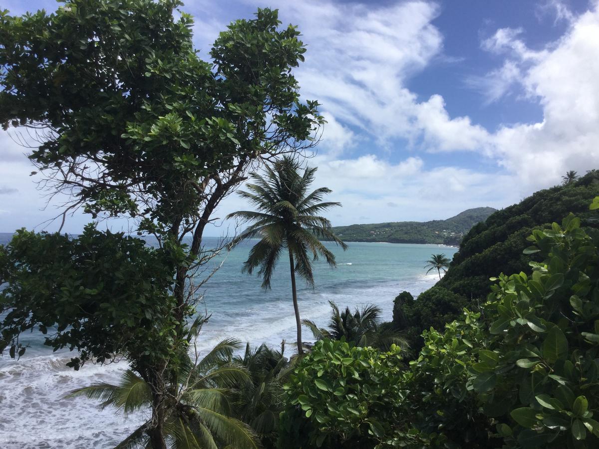 Petite Anse Hotel Mount Alexander المظهر الخارجي الصورة