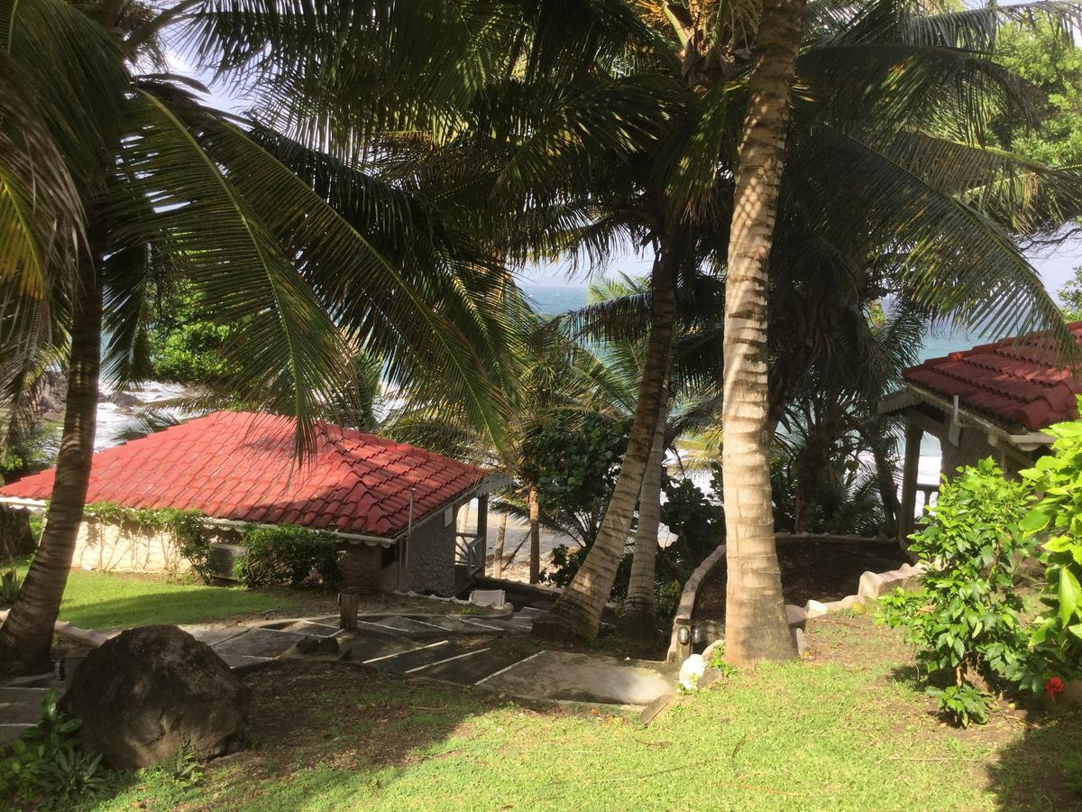 Petite Anse Hotel Mount Alexander المظهر الخارجي الصورة