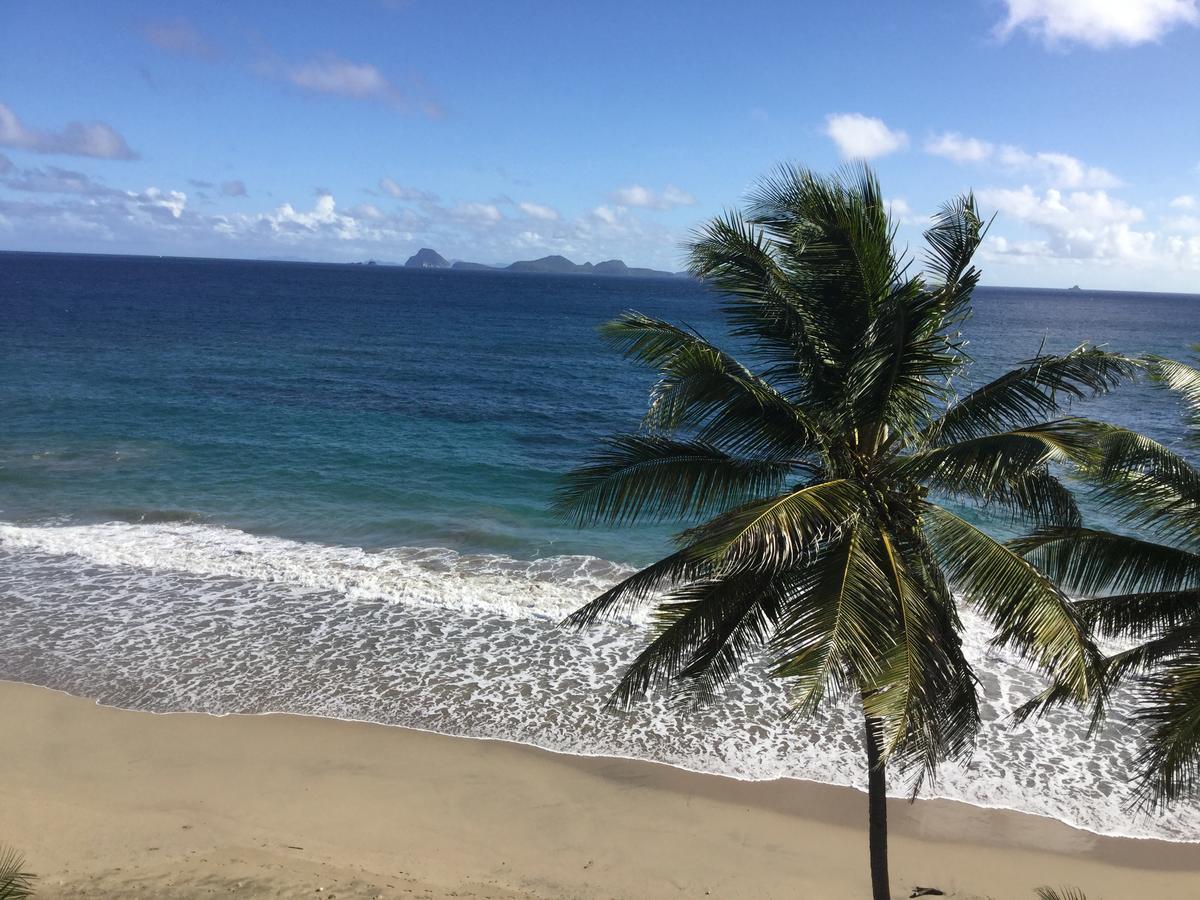 Petite Anse Hotel Mount Alexander المظهر الخارجي الصورة