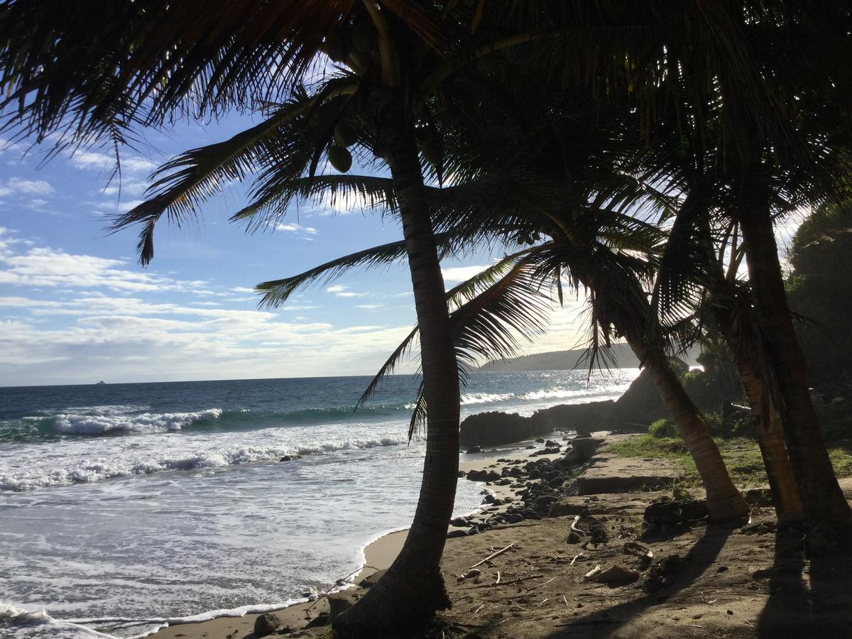 Petite Anse Hotel Mount Alexander المظهر الخارجي الصورة