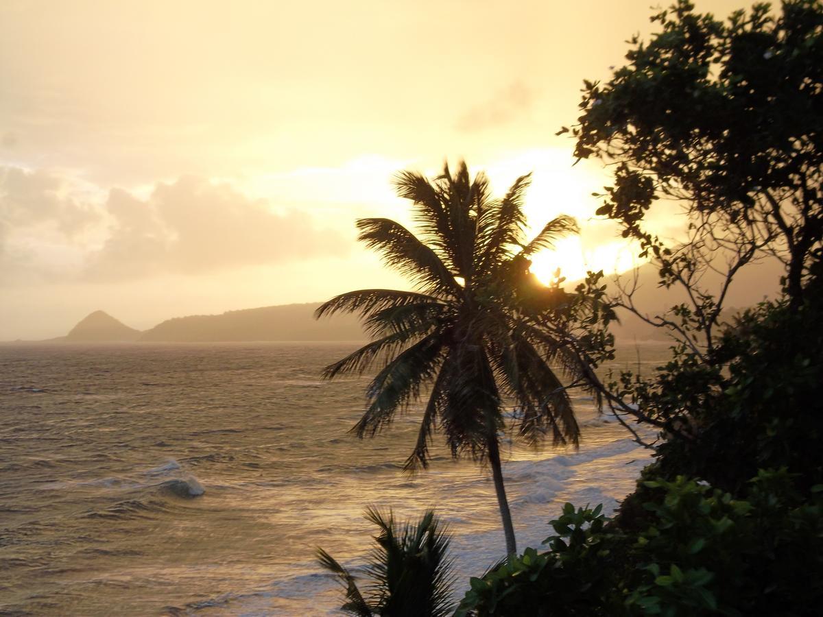 Petite Anse Hotel Mount Alexander المظهر الخارجي الصورة